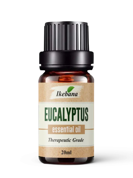 Eucalyptus Essential Oil – 100% Pure & Natural
