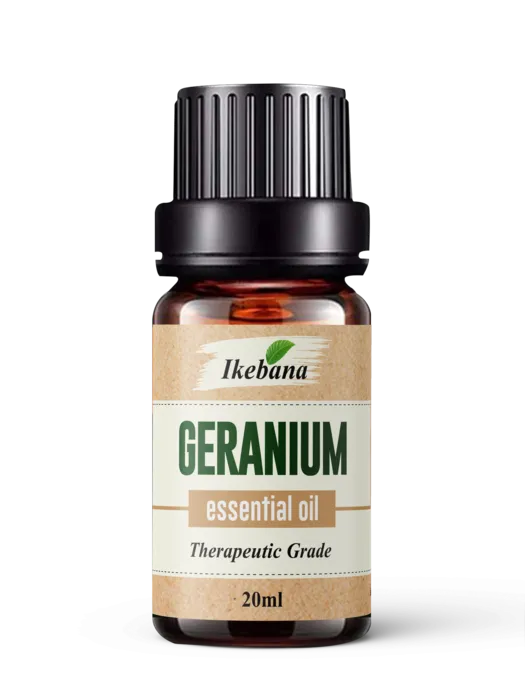 Geranium Essential Oil – 100% Pure & Natural