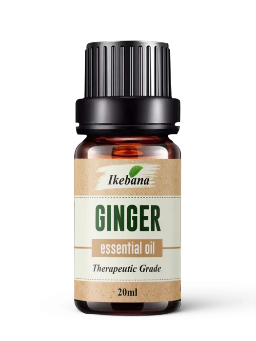 Pure Ginger Essential Oil – 100% Natural & Therapeutic Grade